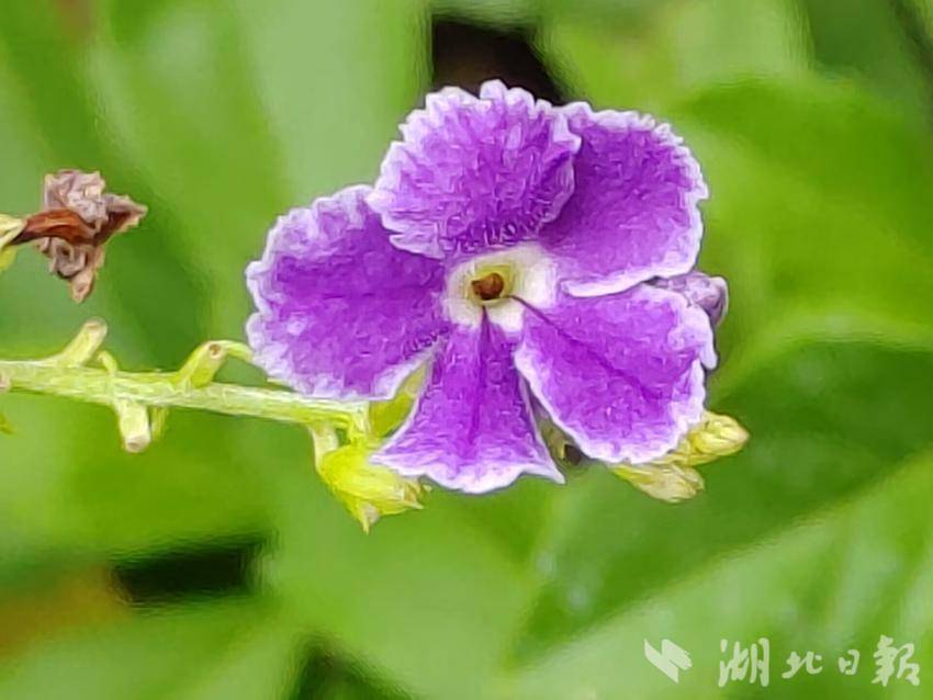 百盈平台登录
